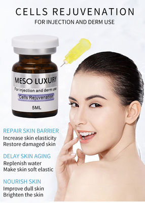 ダーマ注射可能セラム エクソソーム注射 細胞若返り MESO LUXURY メソセラピー