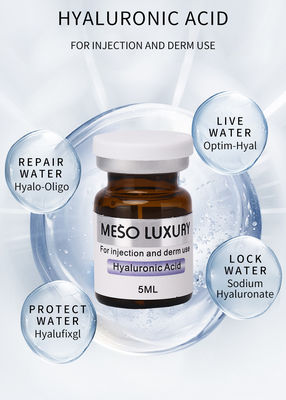 Hyaluronic酸の血清の注入のより若い表面のための贅沢なMesotherapyの注入を保湿する商標